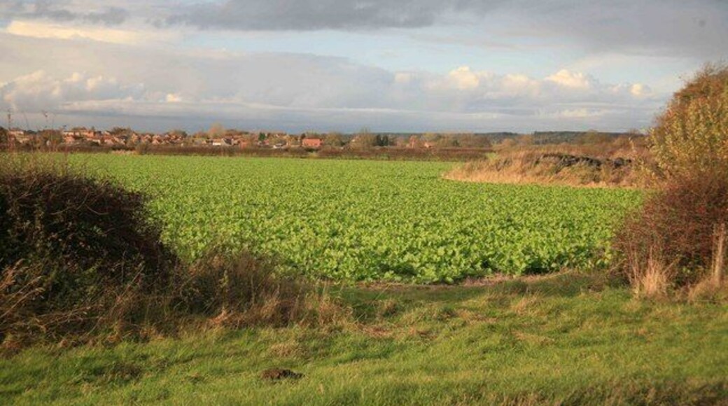 Mattersey Thorpe in the distance Across the fields the village viewed in the distance is Mattersey Thorpe.