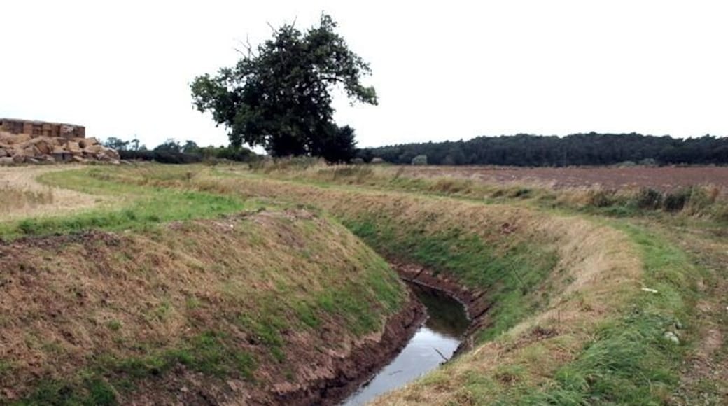 Land drain near Matteresy Priory Drainage is so important on this low lying agricultural land.