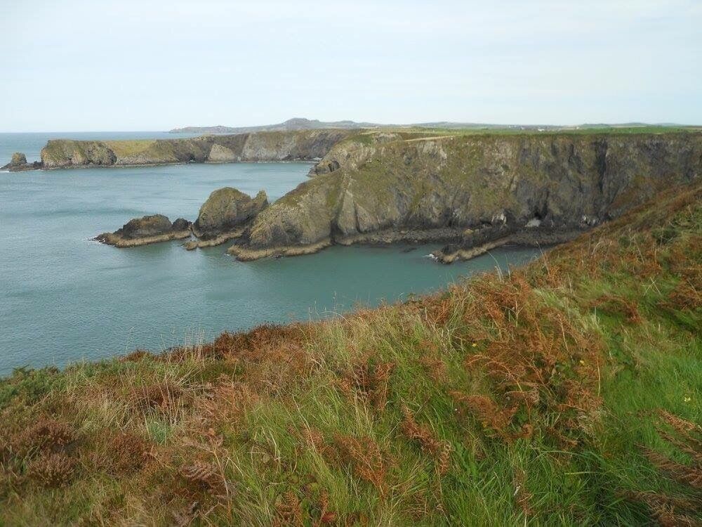 from a hike with Presley Venture