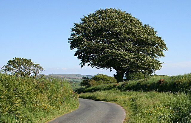 A Bend in the Road. Late Sunday afternoon is the best time to walk these roads, everyone else is at home and you are not constantly dodging traffic. In the distance, the hills of Dartmoor.