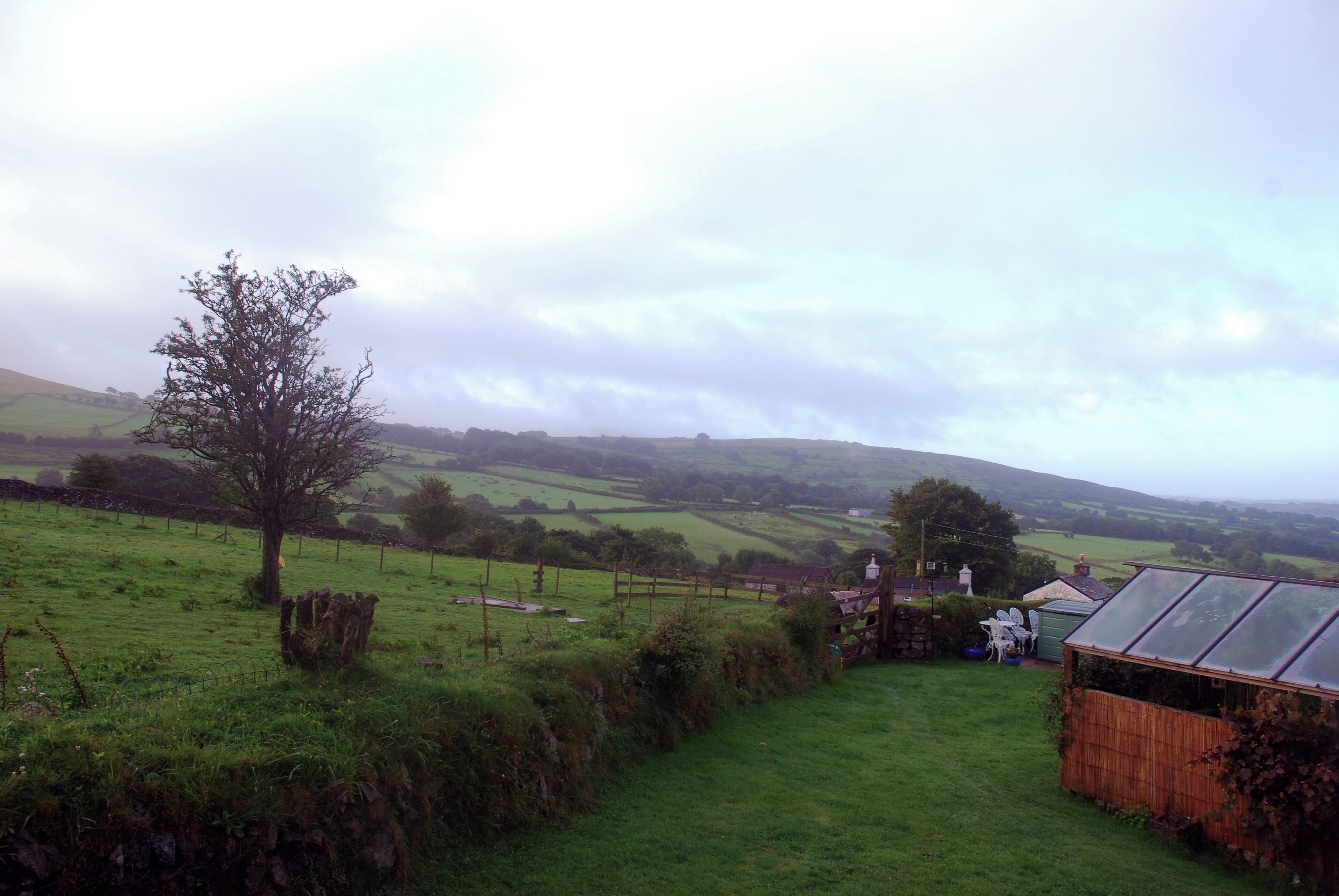 A rural landscape with rolling hills, a solitary tree, a wooden fence, and a greenhouse.