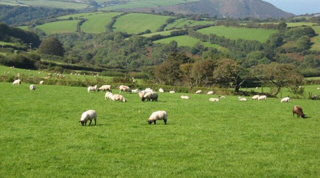 English countryside at its best This picture was taken from a carriage on the Lynton and Barnstaple railway, as it trundled through the gently rolling Devon landscape.