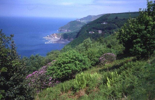 Woodland above Woody Bay With excellent views east along the coast.