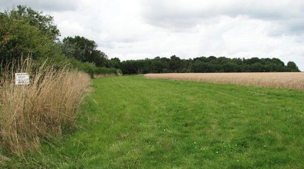 A horse ride. The horse ride runs on the other side of the track, separated from it by a hedgerow. A sign (seen in the hedgerow at left) by the track announces that it is open > 929560.