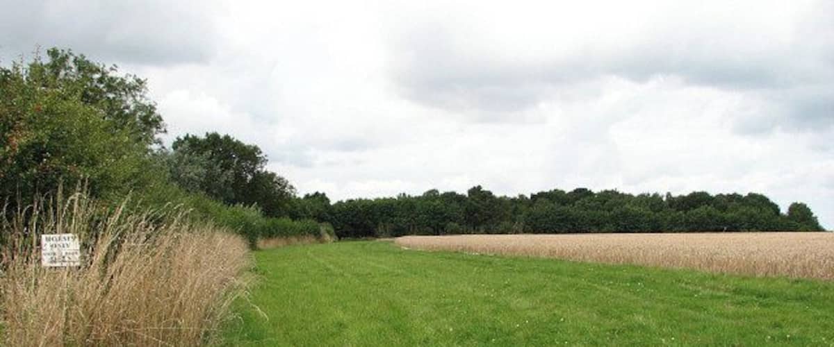 A grassy field with a sign on the left and a line of trees in the background.