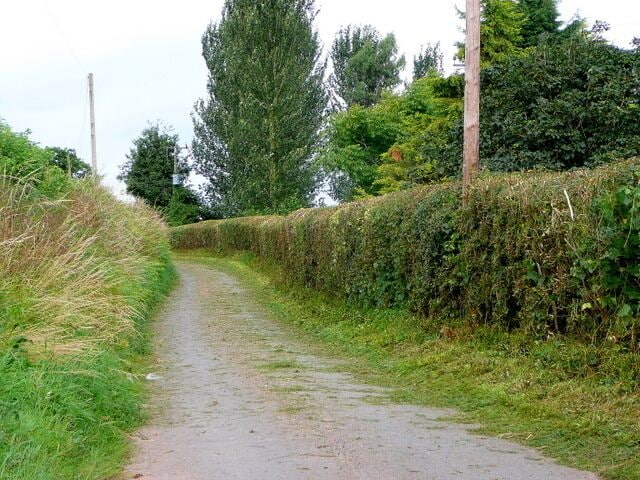 Lane to Ruxton and Llangrove The hedge is in the process of being trimmed - an unusual pre-harvest activity.