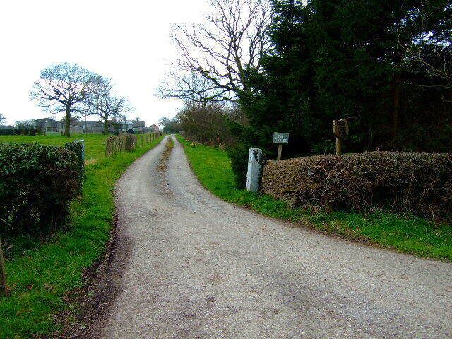 Shaw Lane Farm The farm drive down to Shaw Lane Farm