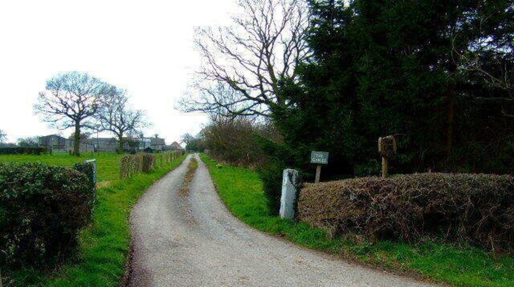 Shaw Lane Farm The farm drive down to Shaw Lane Farm
