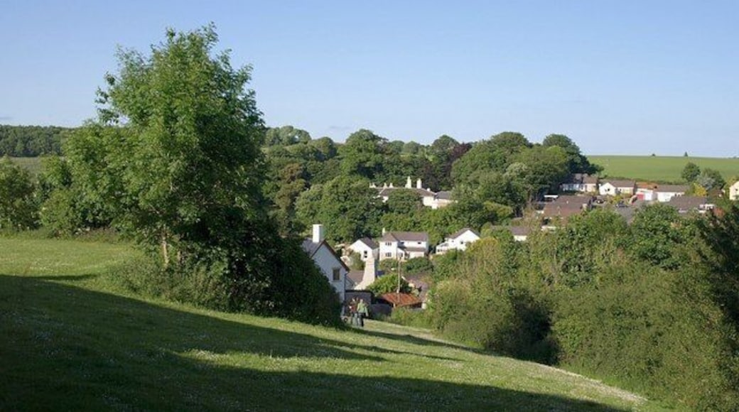 Green space, Marldon Two paths, diverging from the point at which the photo was taken, cross this pleasant green area near the old heart of Marldon. The couple with the dog are descending Marldon Footpath 4, while Footpath 3 curves to the left along the terrace. The large house in the trees ahead is Marldon House.
