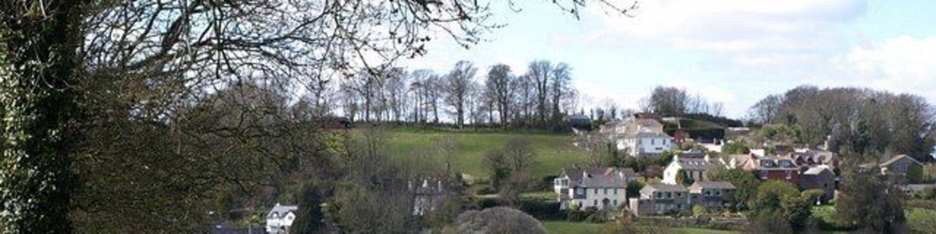 A rural pathway leading through a green field, with houses in the background on a hillside.
