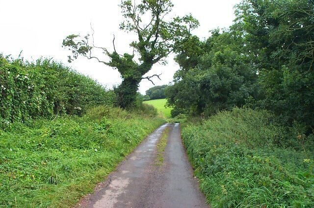 South Devon Lane. Quiet lane near Aptor. About 3 miles from Paignton.