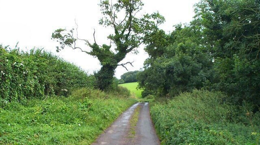 South Devon Lane. Quiet lane near Aptor. About 3 miles from Paignton.