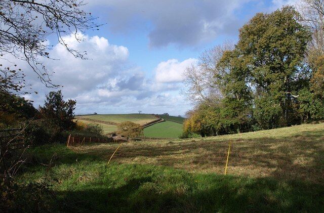 Field near Marldon. An autumnal view of the scene shown in April in 715643, of which 715647 is a detail.