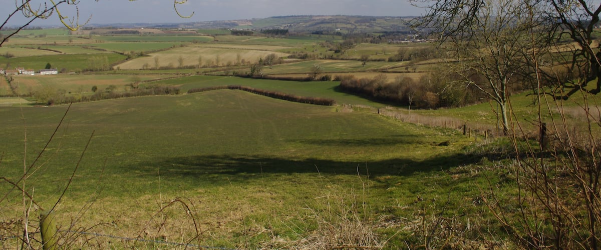 A rural landscape with rolling green fields, a distant house, and a clear blue sky.