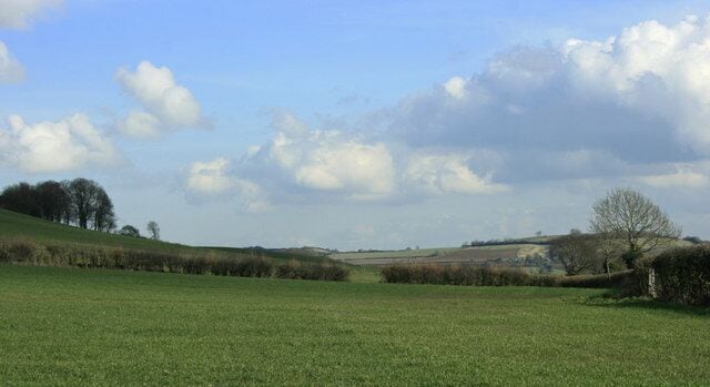 Looking east near Priston New Farm The lane to Priston is over the hedgerow to the right. Pendown Hill is to the left.