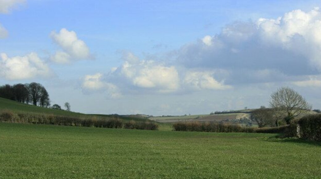 Looking east near Priston New Farm The lane to Priston is over the hedgerow to the right. Pendown Hill is to the left.