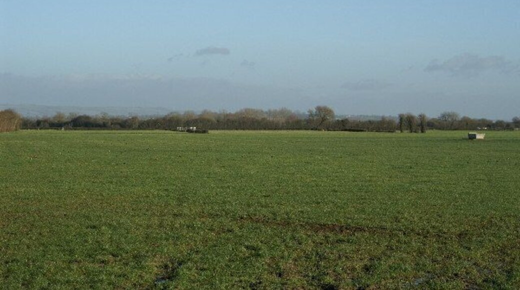 Field on Mark Moor.