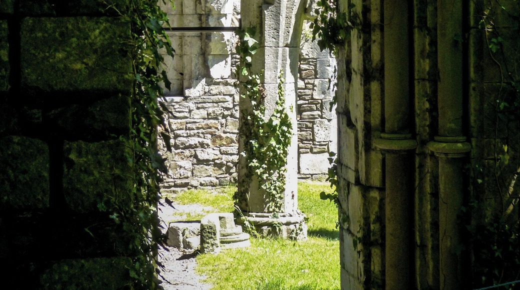 Margam Abbey ruin chapter house