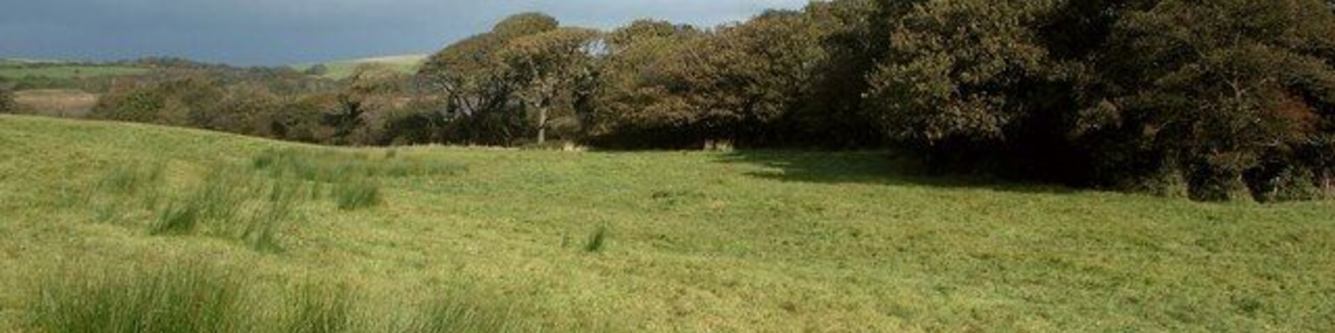 Pasture by the Afon Cynffig The Afon Cynffig is not seen in the picture, but the course of this river is marked by the trees.