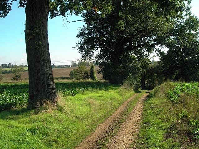 Footpath junction. Junction of the path with the road