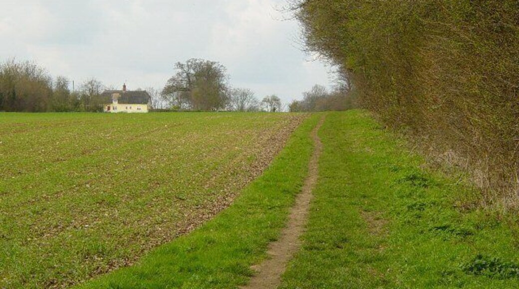Farmland, Manuden Taken looking west from a public footpath. The house is at TL4850626434.