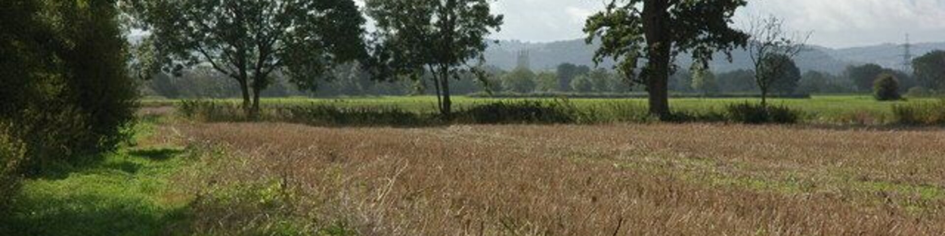 Farmland beside the River Severn, Maisemore Through the trees the silhouette of Gloucester Cathedral can be seen.