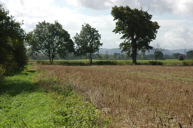 A rural landscape with a field, trees, and a distant view of hills.