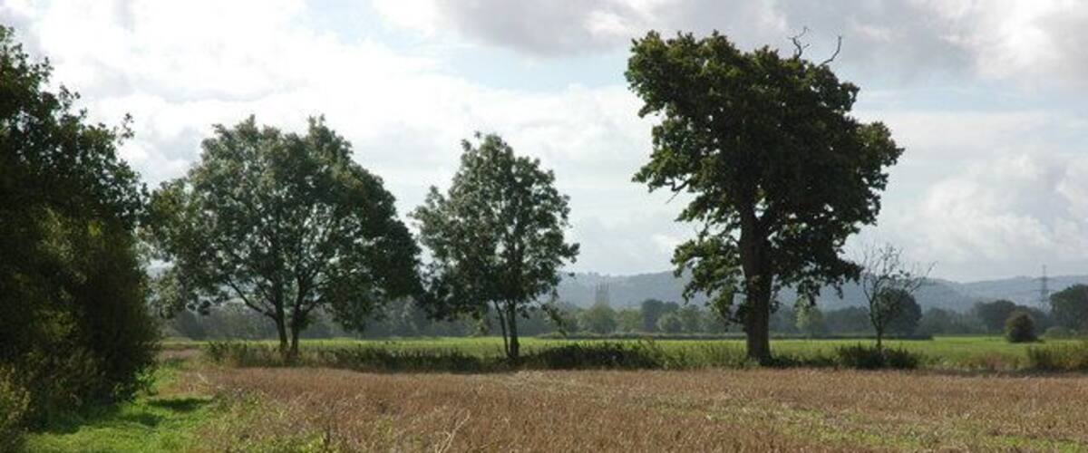 A rural landscape with a field, trees, and a distant view of hills.