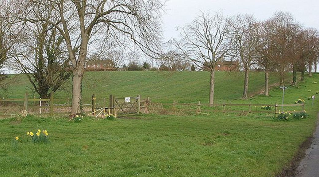 Footpath by a brook Heading west from the avenue of lime trees, planted in 1953 to celebrate the coronation of Elizabeth II.