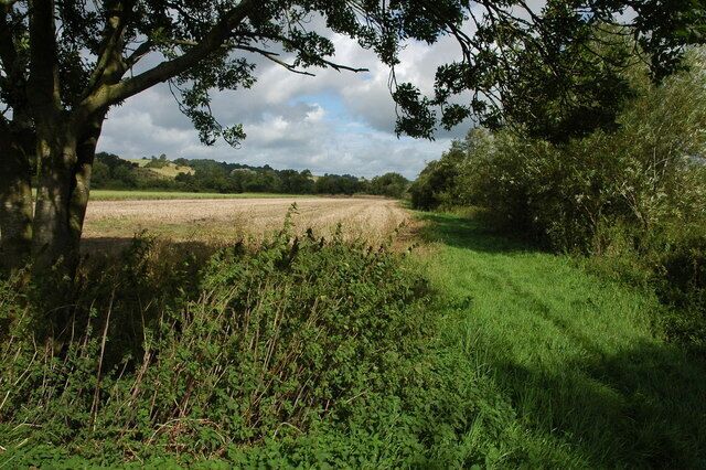 River side footpath, Maisemore The Three Choirs Way follows this river side footpath from Maisemore to Ashleworth.
