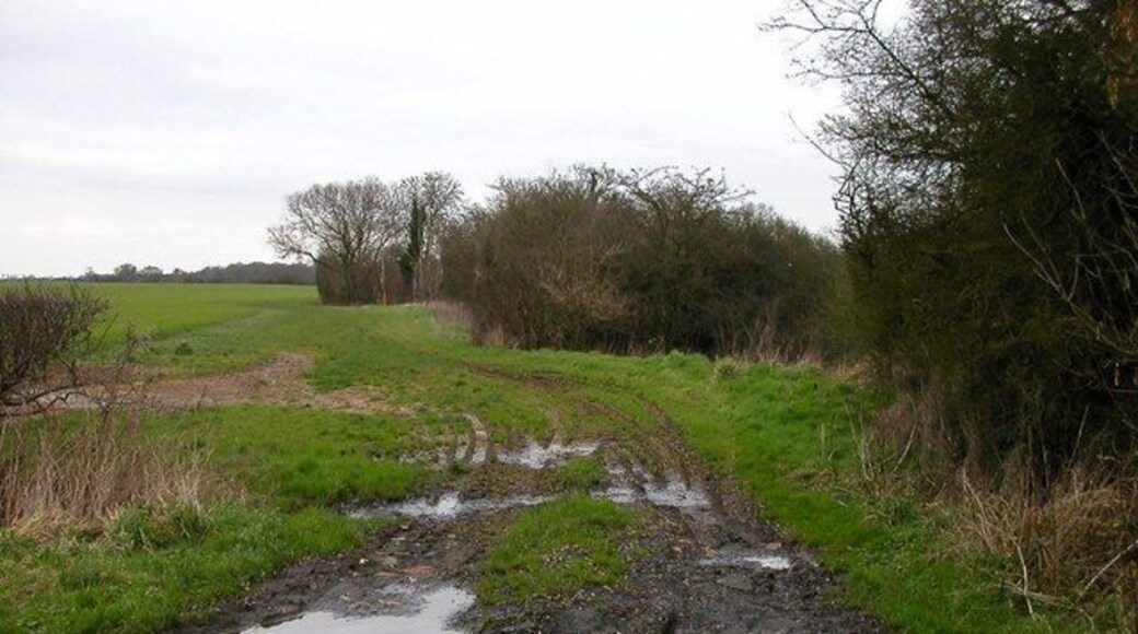 Lamport The Trees and bushes follow the course of the stream at the bottom of Hoppin Hill.