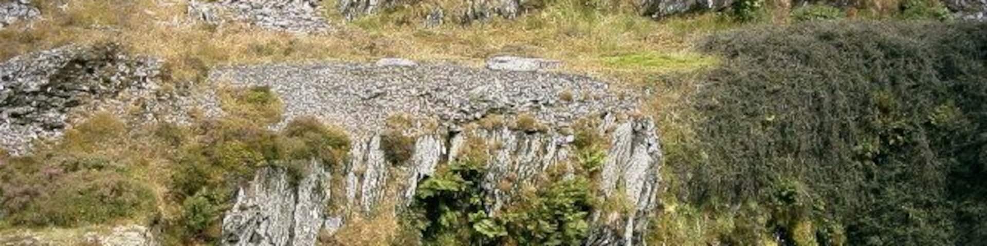 Old quarry, Rosebush. Old quarry near Rosebush, now overgrown.
