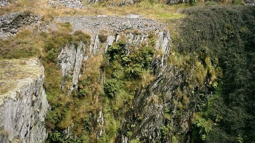 Old quarry, Rosebush. Old quarry near Rosebush, now overgrown.