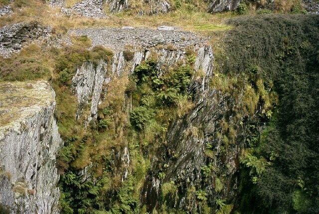A steep, rocky cliff with patches of green vegetation.