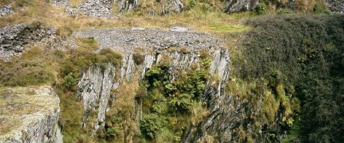 A steep, rocky cliff with patches of green vegetation.