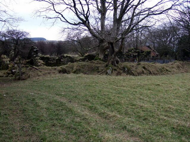 Ruined farm The historic OS map gives the name of this long-gone farm as Westland. It is on a rough track leading north out of Maenclochog and consists of no more than heaps of mossy stones and a few collapsing walls frequented by sheep.