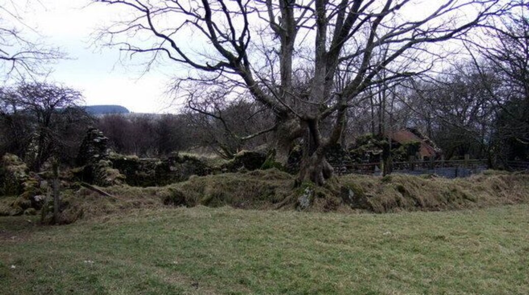 Ruined farm The historic OS map gives the name of this long-gone farm as Westland. It is on a rough track leading north out of Maenclochog and consists of no more than heaps of mossy stones and a few collapsing walls frequented by sheep.