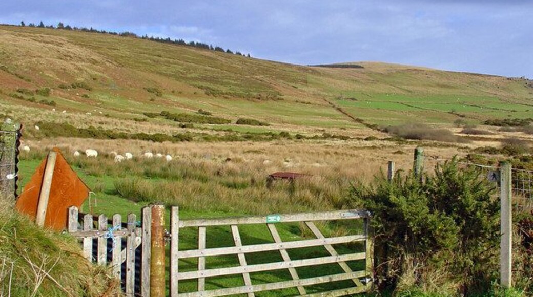 Meadows at the foot of the Preseli On the right-centre horizon is Foel Cwmcerwyn, the highest point (536 m) in the Preseli hills.