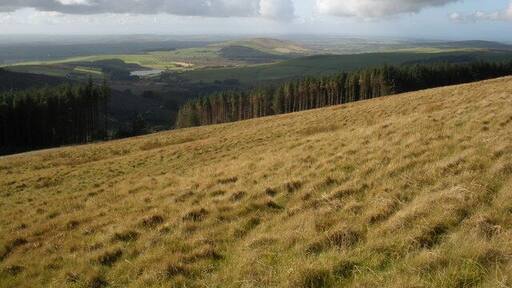Above Pantmaenog Forest