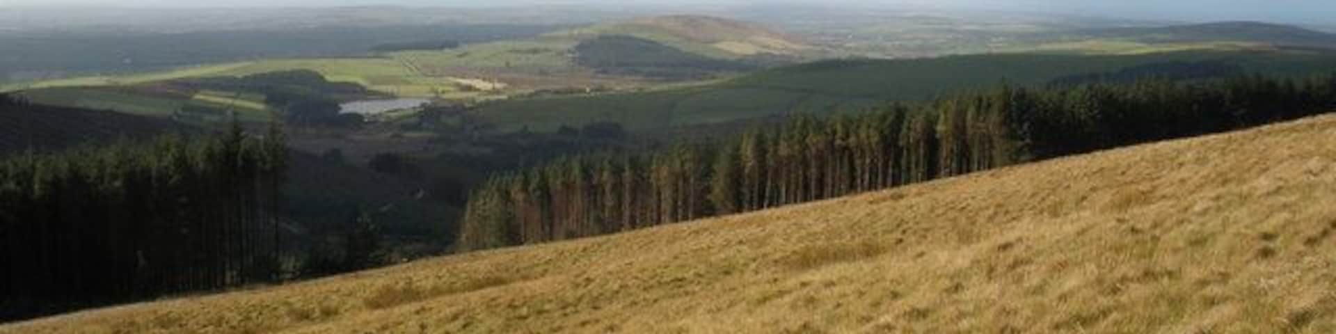 Above Pantmaenog Forest