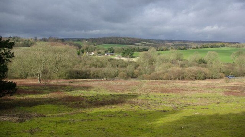 View across Fairmile Bottom The field in the foreground (plagued by moles) finishes at the A29, just visible. Most of the view is Madehurst parish, a parish with hardly any village.