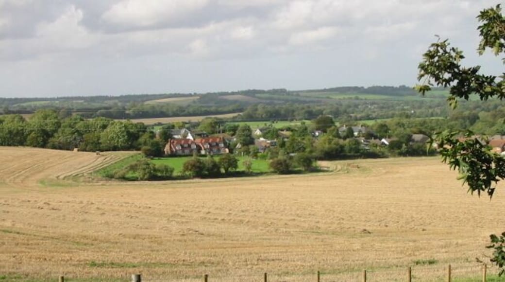 Houses on Westfield Lane from The Beeches