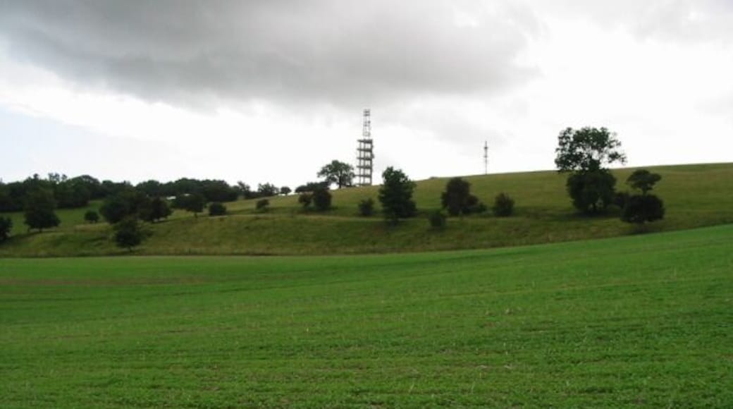 The northern side of Tolsford Hill