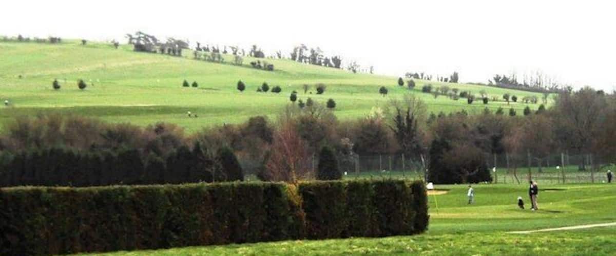 A green field with a hedge in the foreground and a hilly landscape in the background.