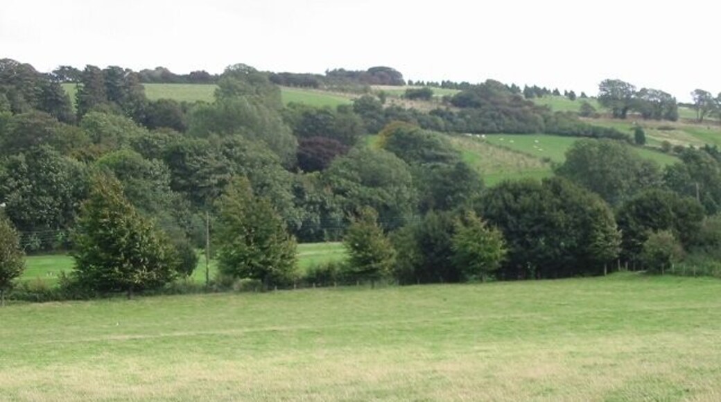 Downland to the E of the Elham Valley Way