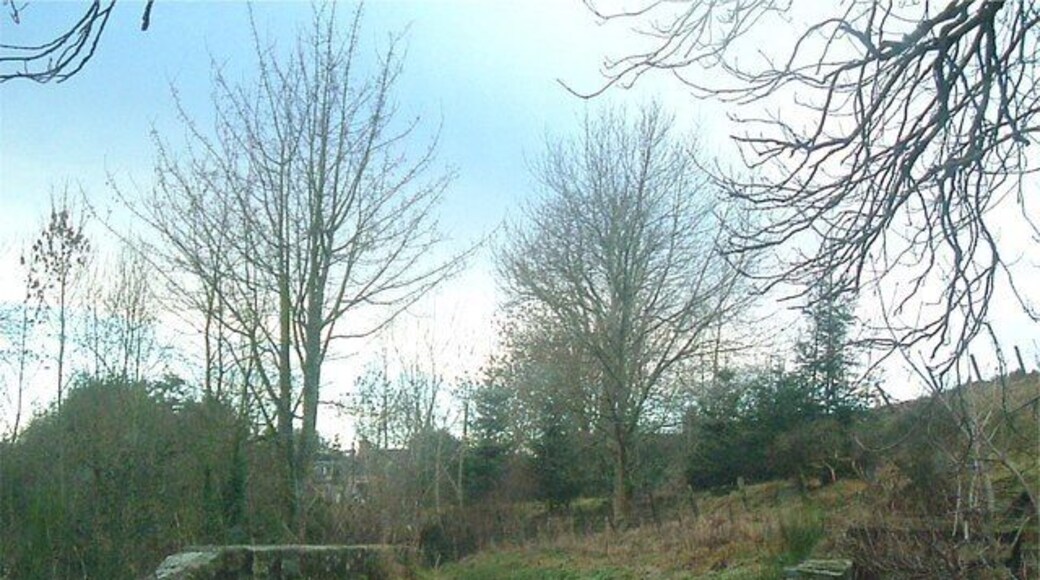 Bridge over Lumphanan Burn Behind St Finans.