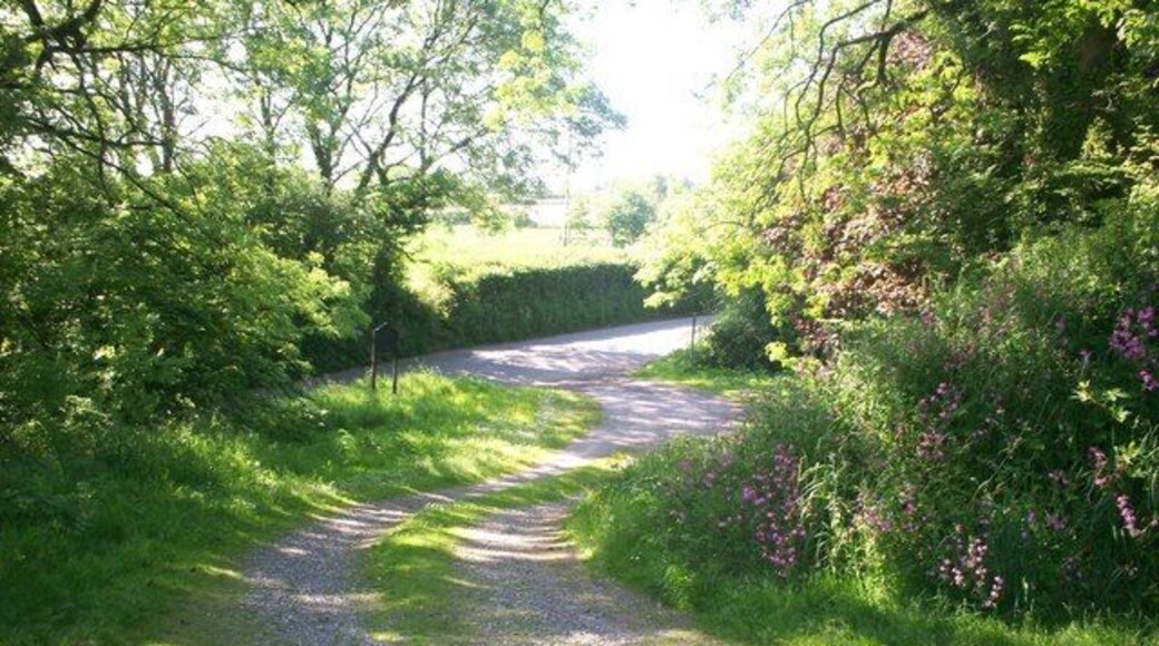 Path Down from St Elidyr's Church, Ludchurch
