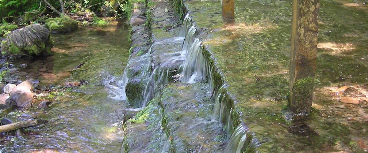 Watersplash - East Water - June 2011