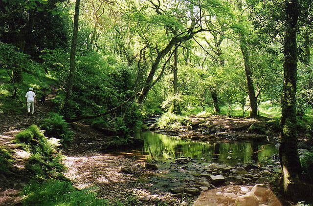 Luccombe: by the Horner Water. Walks in this valley can be made from the car park at Horner, near the packhorse bridge. A leat from the Horner Water powered Horner Mill  see SS8945