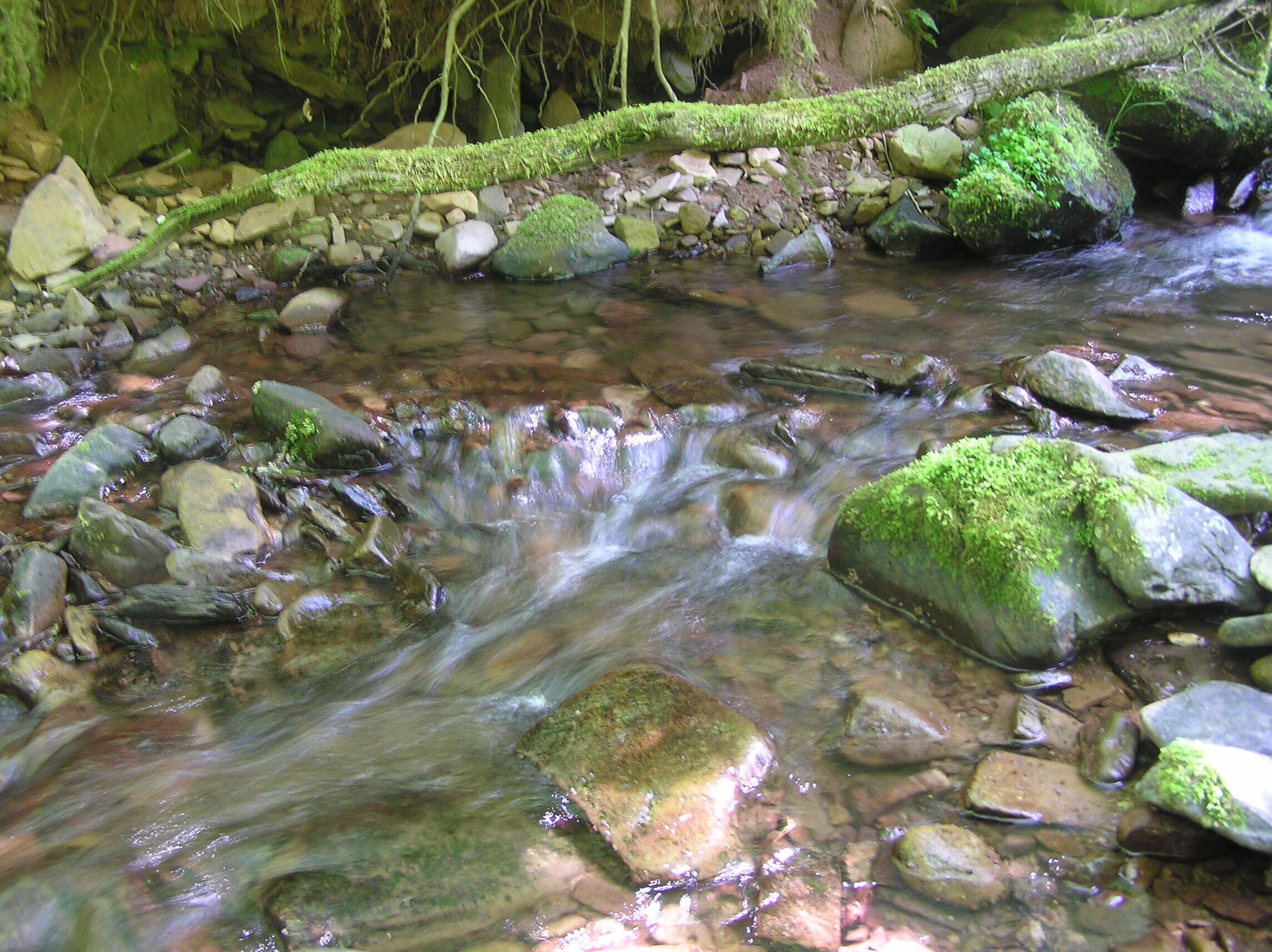 East Water below the splash - June 2011